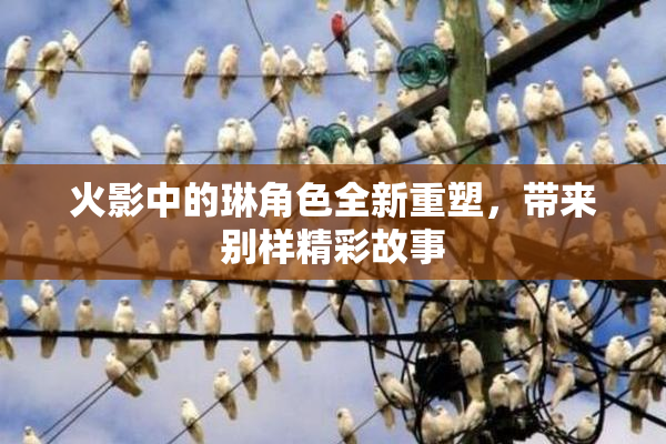 火影中的琳角色全新重塑，带来别样精彩故事