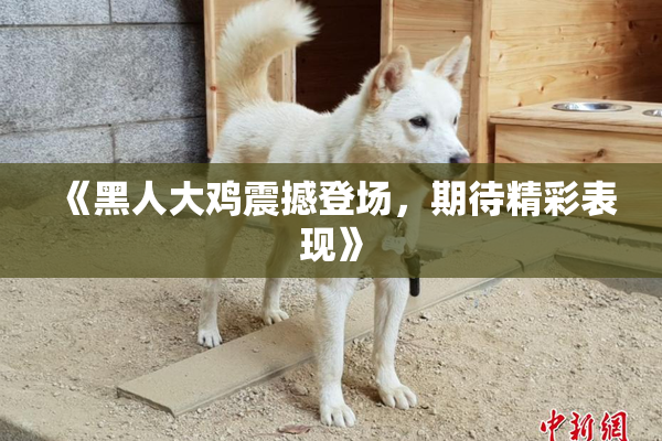 《黑人大鸡震撼登场，期待精彩表现》