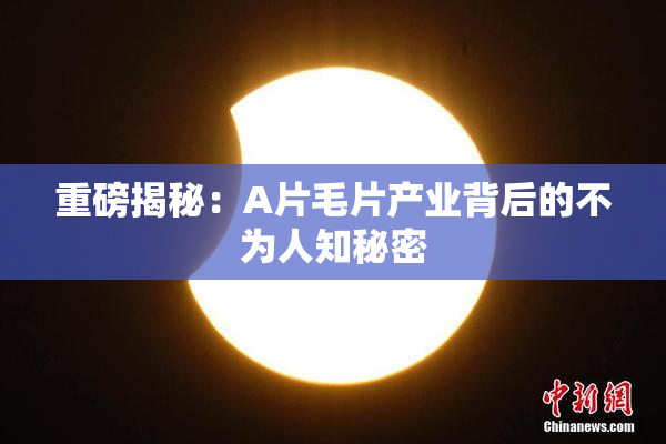 重磅揭秘：A片毛片产业背后的不为人知秘密