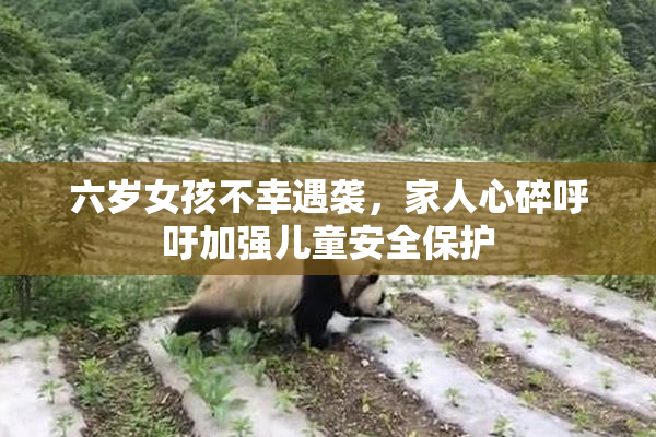 六岁女孩不幸遇袭，家人心碎呼吁加强儿童安全保护