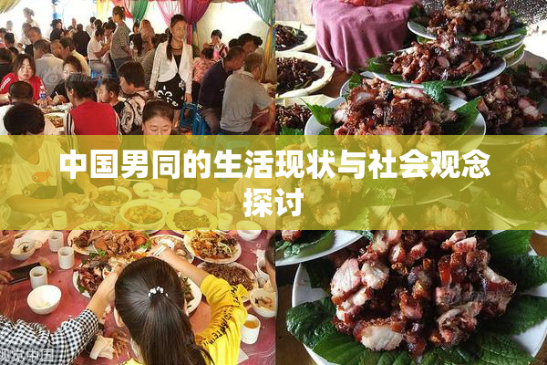 中国男同的生活现状与社会观念探讨