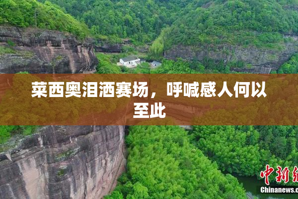 菜西奥泪洒赛场，呼喊感人何以至此