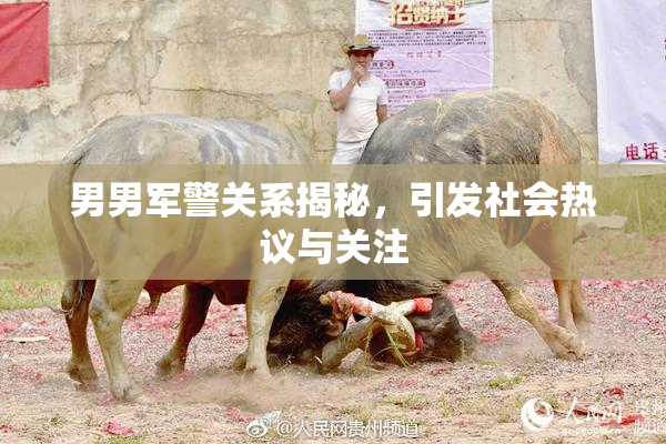 男男军警关系揭秘，引发社会热议与关注