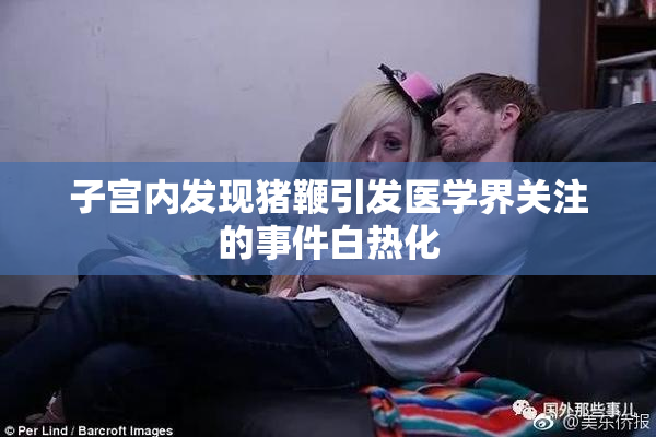 子宫内发现猪鞭引发医学界关注的事件白热化