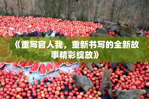 《重写官人我，重新书写的全新故事精彩绽放》