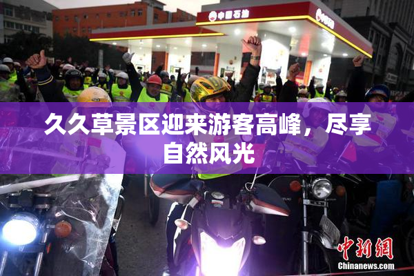 久久草景区迎来游客高峰，尽享自然风光