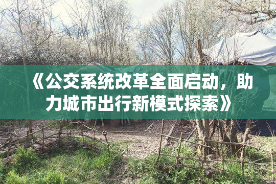 《公交系统改革全面启动，助力城市出行新模式探索》