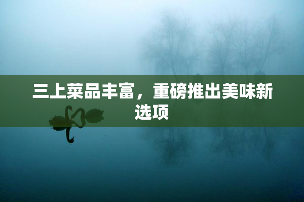 三上菜品丰富，重磅推出美味新选项
