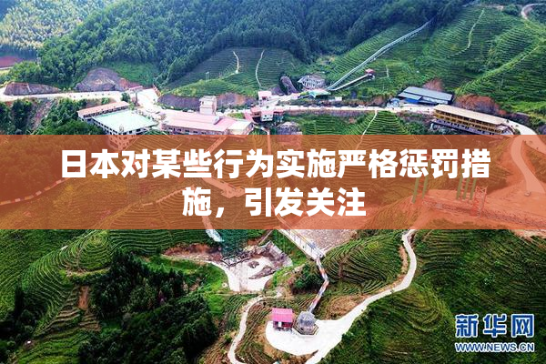 日本对某些行为实施严格惩罚措施，引发关注