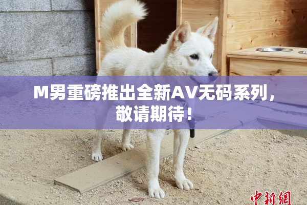 M男重磅推出全新AV无码系列，敬请期待！