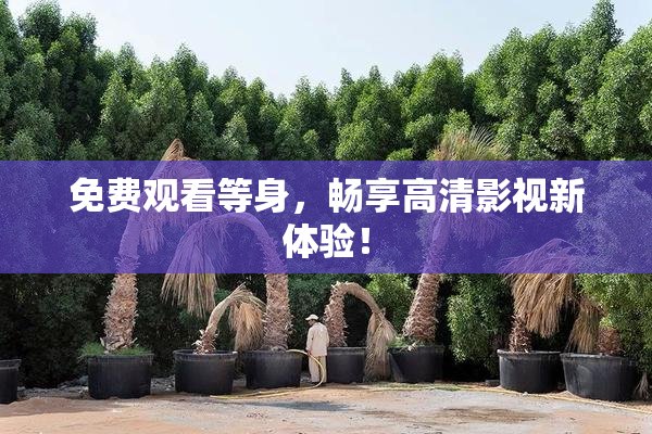 免费观看等身，畅享高清影视新体验！
