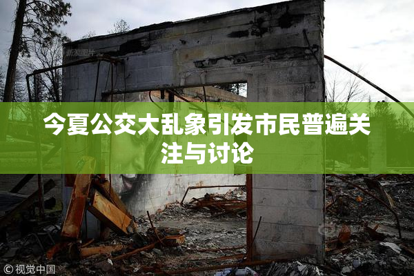 今夏公交大乱象引发市民普遍关注与讨论