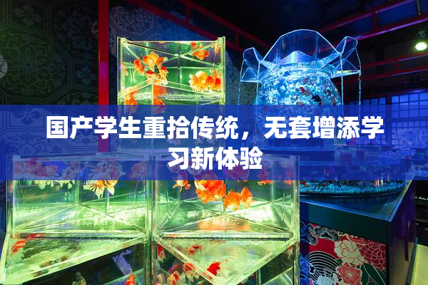 国产学生重拾传统，无套增添学习新体验