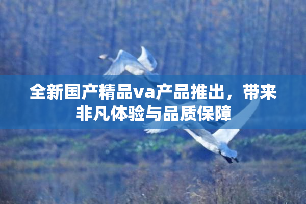 全新国产精品va产品推出，带来非凡体验与品质保障