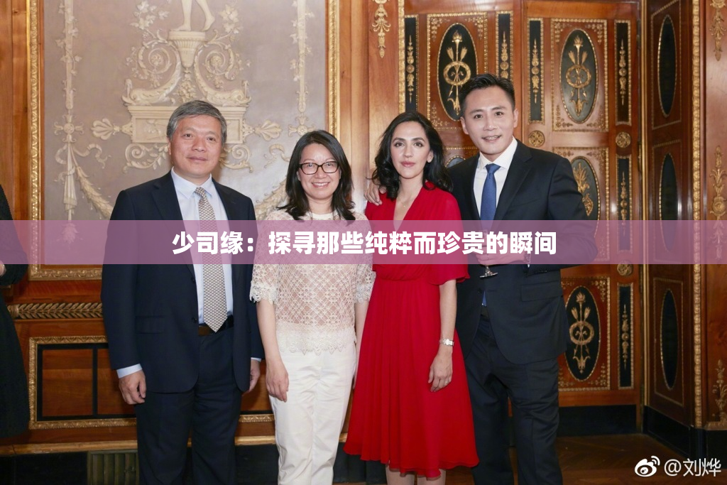 少司缘：探寻那些纯粹而珍贵的瞬间