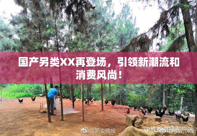 国产另类XX再登场，引领新潮流和消费风尚！