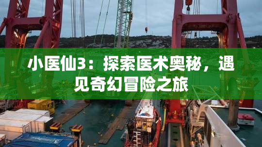 小医仙3：探索医术奥秘，遇见奇幻冒险之旅