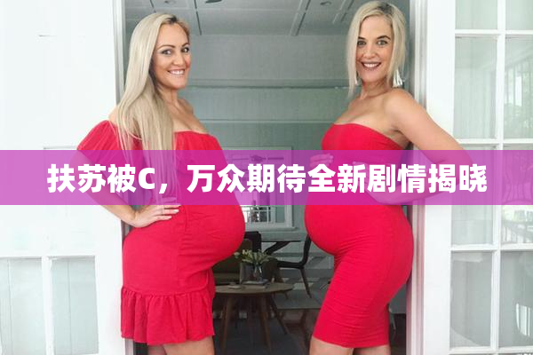 扶苏被C，万众期待全新剧情揭晓