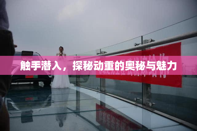 触手潜入，探秘动重的奥秘与魅力