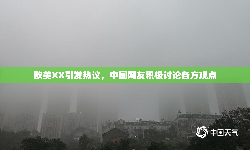 欧美XX引发热议，中国网友积极讨论各方观点
