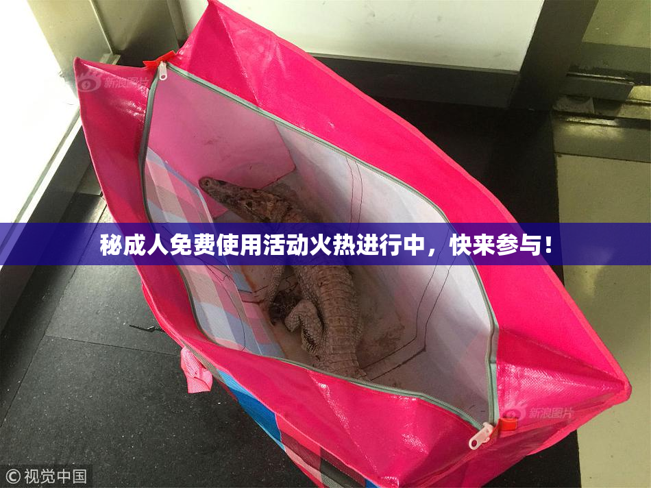 秘成人免费使用活动火热进行中，快来参与！