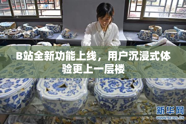 B站全新功能上线，用户沉浸式体验更上一层楼