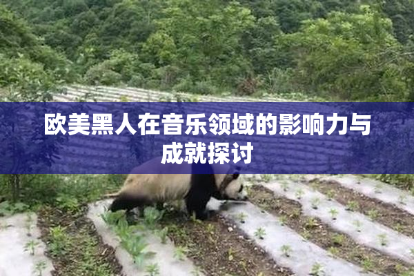 欧美黑人在音乐领域的影响力与成就探讨