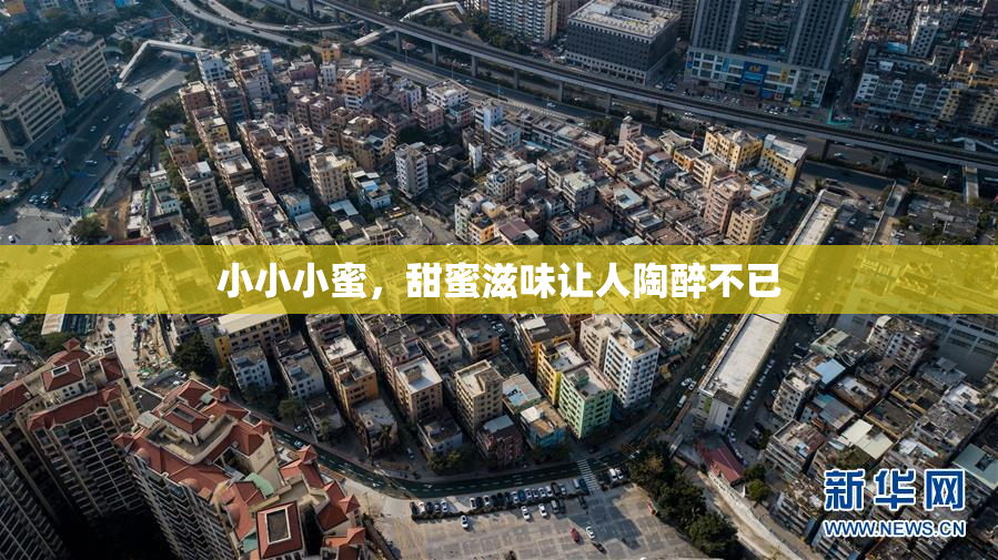 小小小蜜，甜蜜滋味让人陶醉不已