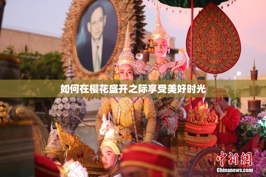 如何在樱花盛开之际享受美好时光