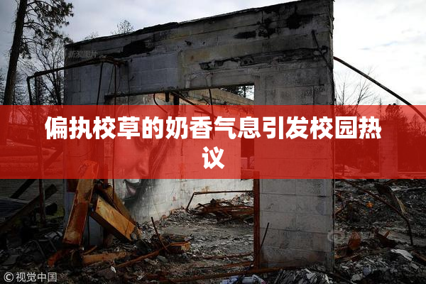 偏执校草的奶香气息引发校园热议