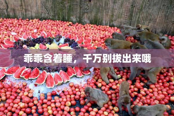乖乖含着睡，千万别拔出来哦