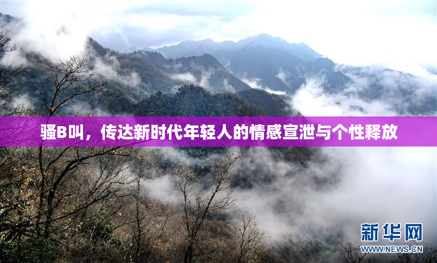 骚B叫，传达新时代年轻人的情感宣泄与个性释放