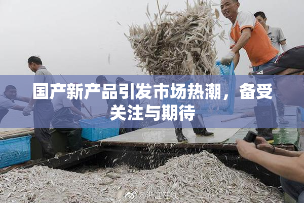 国产新产品引发市场热潮，备受关注与期待
