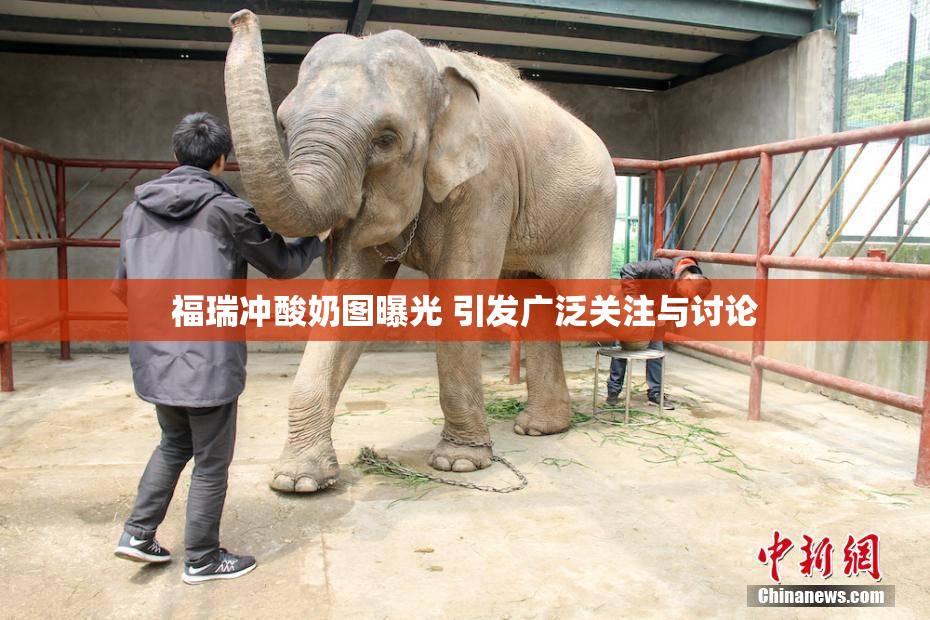 福瑞冲酸奶图曝光 引发广泛关注与讨论
