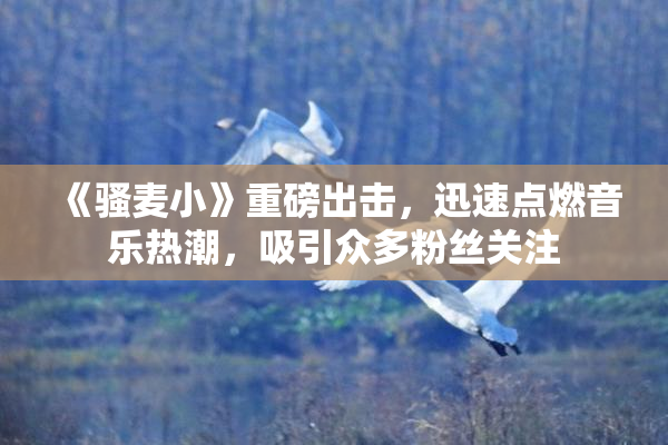 《骚麦小》重磅出击，迅速点燃音乐热潮，吸引众多粉丝关注