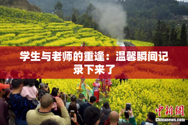 学生与老师的重逢：温馨瞬间记录下来了