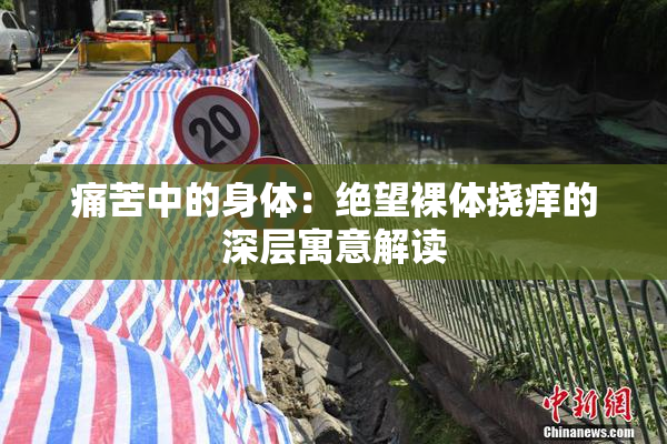 痛苦中的身体：绝望裸体挠痒的深层寓意解读