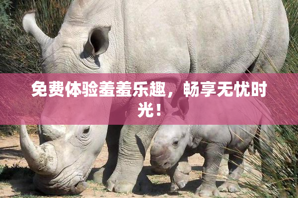 免费体验羞羞乐趣，畅享无忧时光！