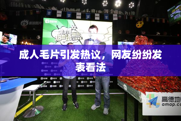 成人毛片引发热议，网友纷纷发表看法