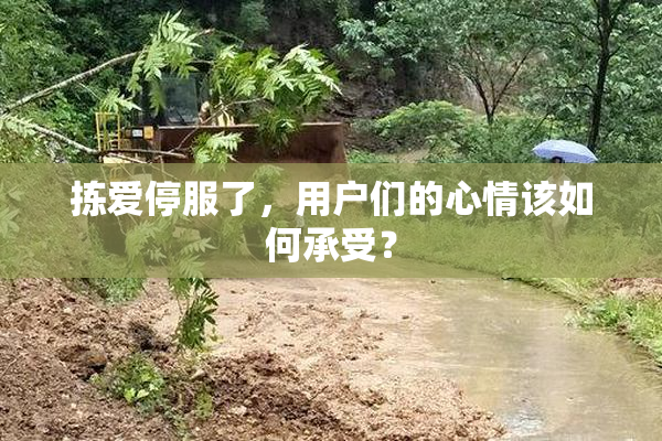 拣爱停服了，用户们的心情该如何承受？