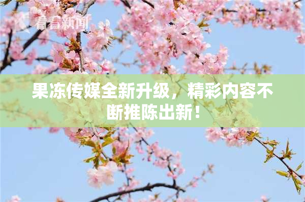 果冻传媒全新升级，精彩内容不断推陈出新！