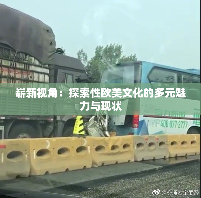 崭新视角：探索性欧美文化的多元魅力与现状