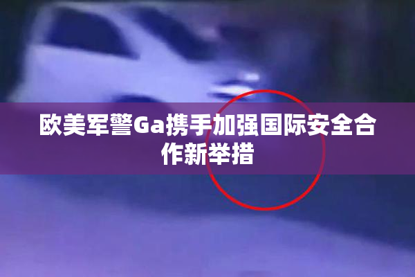 欧美军警Ga携手加强国际安全合作新举措