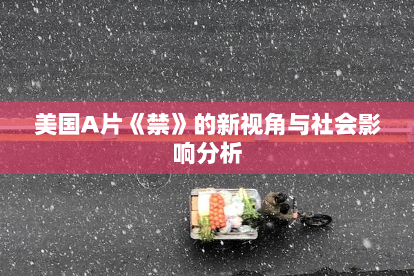 美国A片《禁》的新视角与社会影响分析