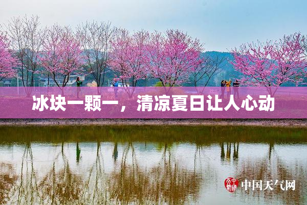 冰块一颗一，清凉夏日让人心动