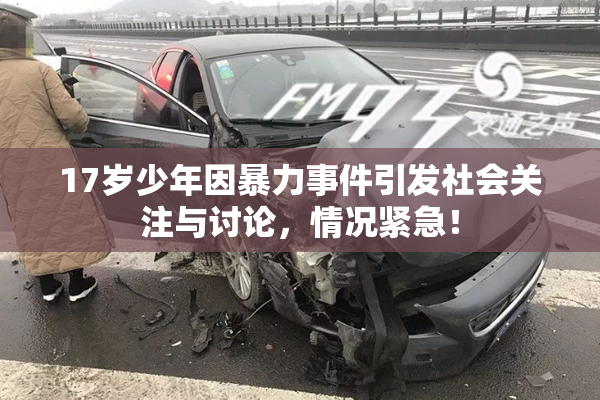 17岁少年因暴力事件引发社会关注与讨论，情况紧急！