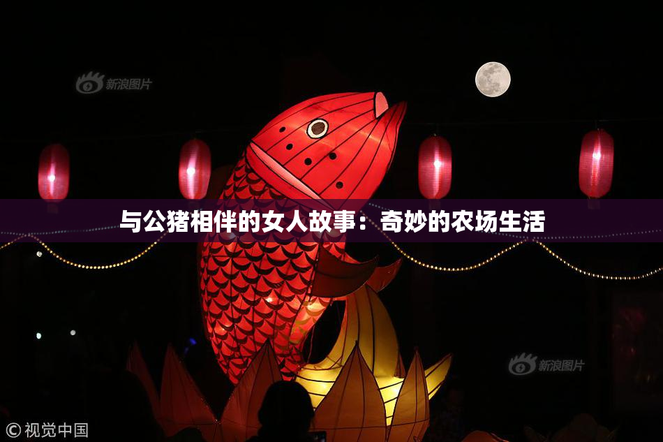 与公猪相伴的女人故事：奇妙的农场生活