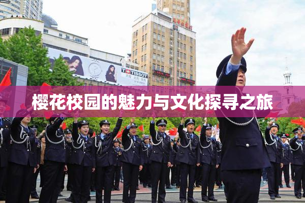 樱花校园的魅力与文化探寻之旅