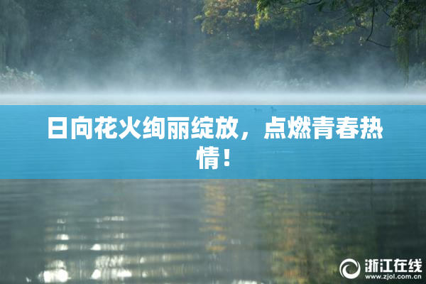 日向花火绚丽绽放，点燃青春热情！