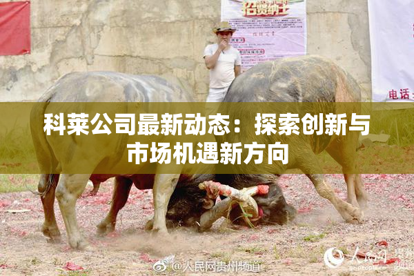 科莱公司最新动态：探索创新与市场机遇新方向